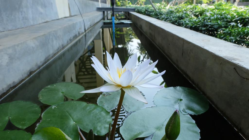 Lullaby Boutique Resort Thap Sakae Luaran gambar